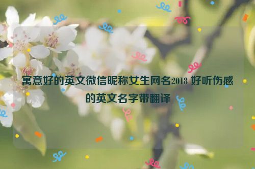 寓意好的英文微信昵称女生网名2018 好听伤感的英文名字带翻译