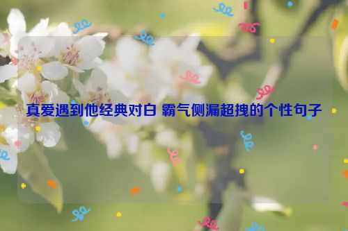 真爱遇到他经典对白 霸气侧漏超拽的个性句子