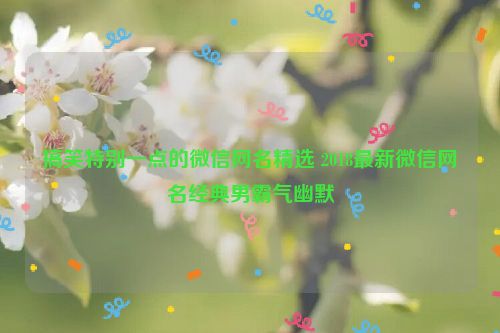 搞笑特别一点的微信网名精选 2018最新微信网名经典男霸气幽默