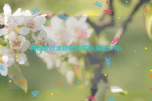 神都夜行录好听的昵称(精选57句)