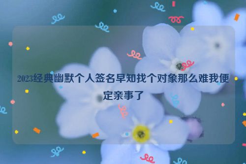 2023经典幽默个人签名早知找个对象那么难我便定亲事了