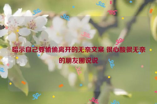 暗示自己要偷偷离开的无奈文案 很心酸很无奈的朋友圈说说