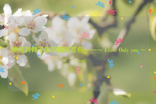 爱你到骨子里的情侣签名_~~~ I love Only you ~~~