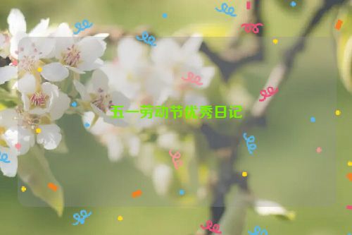 五一劳动节优秀日记