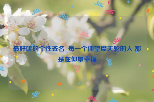 最好听的个性签名_每一个仰望摩天轮的人 都是在仰望幸福