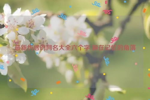 最新伤感的网名大全六个字 躲在记忆的角落