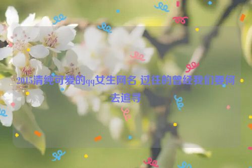 2015清纯可爱的qq女生网名 过往的曾经我们要何去追寻