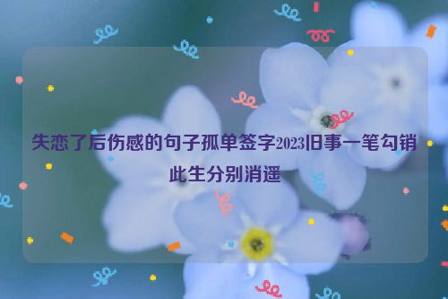 失恋了后伤感的句子孤单签字2023旧事一笔勾销此生分别消遥