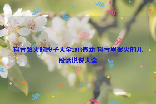 抖音超火的段子大全2018最新 抖音里很火的几段话说说大全