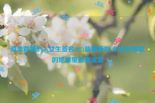 甜美意境的qq女生签名2023最新版的 心没有停歇的地哪里都是流浪