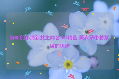 好听的小清新女生网名2018精选 薰衣草带着紫色的忧伤