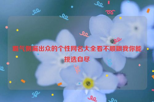 霸气侧漏出众的个性网名大全看不顺眼我你能挑选自尽