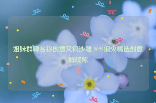 姐妹群聊名称创意又很沙雕 2022很火精选创意群昵称