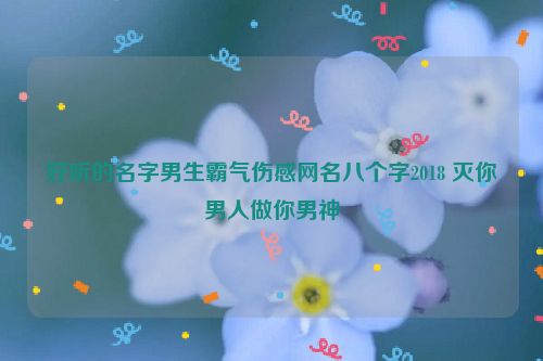 好听的名字男生霸气伤感网名八个字2018 灭你男人做你男神