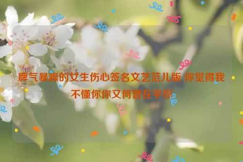 脾气暴躁的女生伤心签名文艺范儿版 你觉得我不懂你你又何曾在乎你