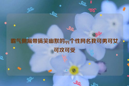 霸气侧漏带搞笑幽默的qq个性网名我可男可女可攻可受