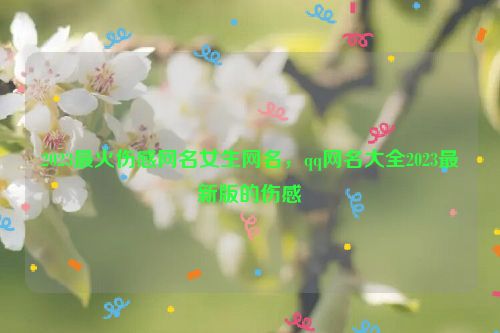 2023最火伤感网名女生网名，qq网名大全2023最新版的伤感