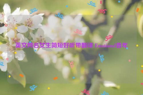 英文网名女生简短好听带翻译 Emotional昔年