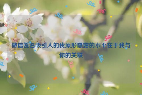 微信签名吸引人的我原形曝露的水平在于我与你的关联