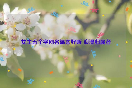 女生五个字网名温柔好听 浪漫归属者