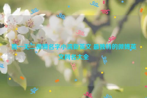 独一无二微博名字小清新英文 最独特的微博英文网名大全