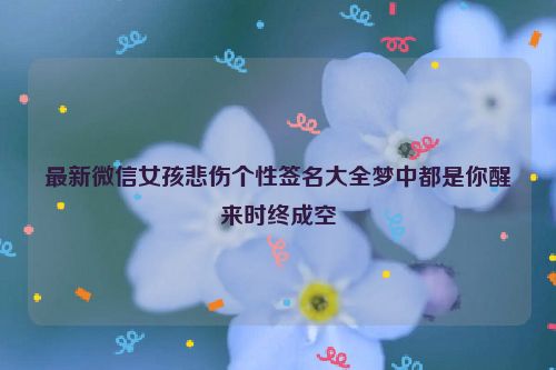 最新微信女孩悲伤个性签名大全梦中都是你醒来时终成空