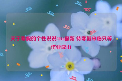 关于寒假的个性说说2016最新 待寒假来临只等作业成山