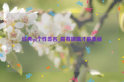 经典qq个性签名_隔着玻璃才最美丽