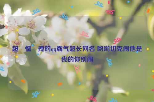 超�懦�拽的qq霸气超长网名 哟哟切克闹他是我的你别闹