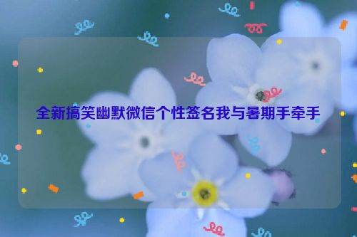 全新搞笑幽默微信个性签名我与暑期手牵手