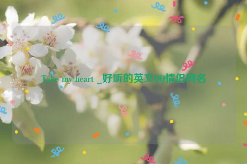 Take my heart _好听的英文QQ情侣网名