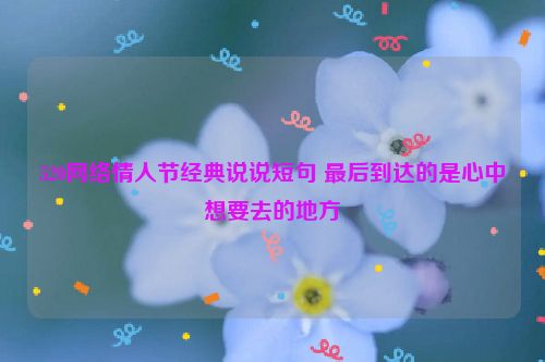 520网络情人节经典说说短句 最后到达的是心中想要去的地方