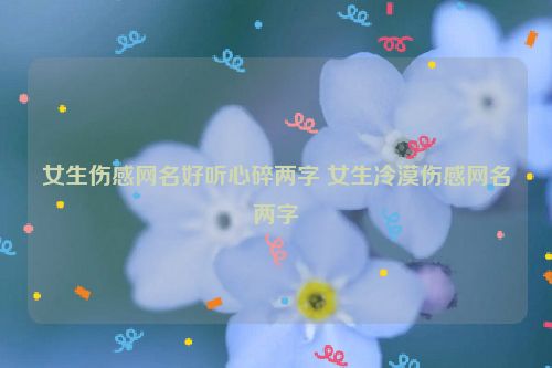 女生伤感网名好听心碎两字 女生冷漠伤感网名两字