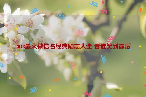 2018最火微信名经典励志大全 看谁笑到最后