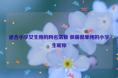 适合小学女生用的网名清新 很萌很单纯的小学生昵称