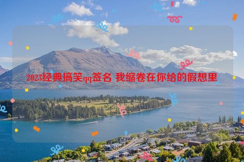 2023经典搞笑qq签名 我缩卷在你给的假想里