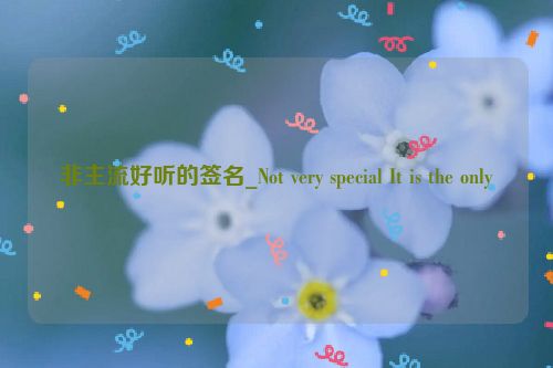 非主流好听的签名_Not very special It is the only