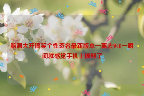 脑洞大开搞笑个性签名最新版本一离去Wifi一瞬间就感觉手机上损毁了