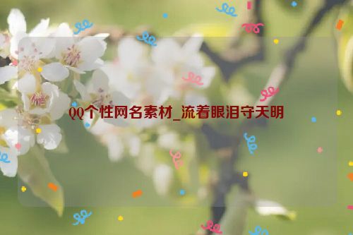 QQ个性网名素材_流着眼泪守天明