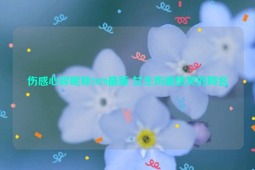 伤感心碎昵称2020最新 女生伤感想哭的网名