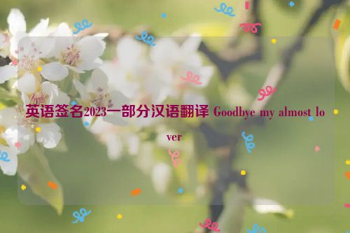 英语签名2023一部分汉语翻译 Goodbye my almost lover