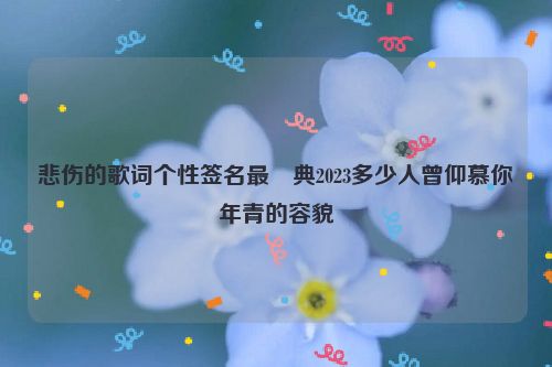 悲伤的歌词个性签名最經典2023多少人曾仰慕你年青的容貌