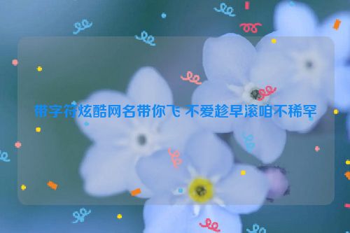 带字符炫酷网名带你飞 不爱趁早滚咱不稀罕