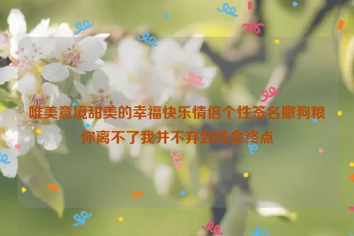 唯美意境甜美的幸福快乐情侣个性签名撒狗粮你离不了我并不弃到性命终点