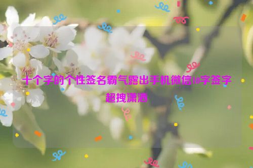 十个字的个性签名霸气露出手机微信10字签字超拽潇洒