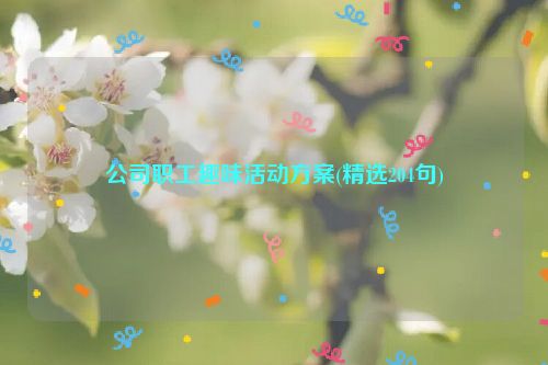 公司职工趣味活动方案(精选204句)