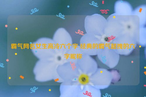 霸气网名女生高冷六个字 经典的霸气超拽的六字昵称