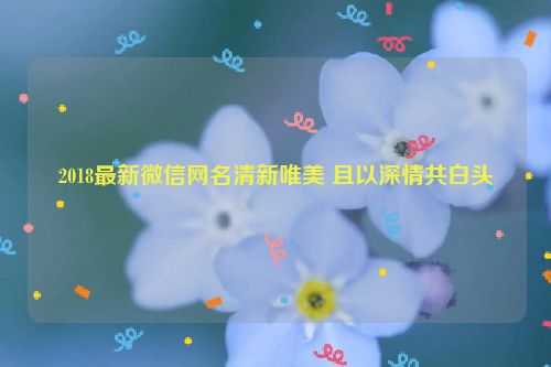 2018最新微信网名清新唯美 且以深情共白头