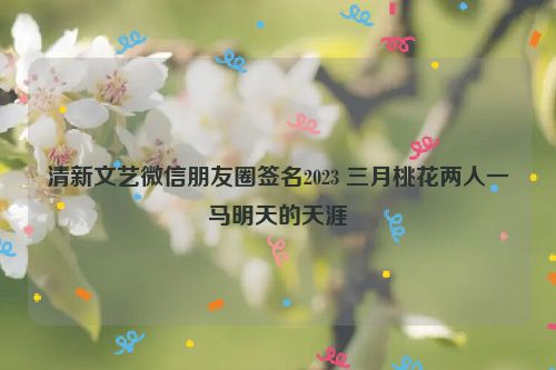 清新文艺微信朋友圈签名2023 三月桃花两人一马明天的天涯