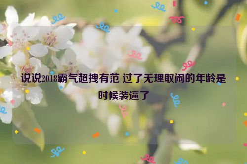 说说2018霸气超拽有范 过了无理取闹的年龄是时候装逼了